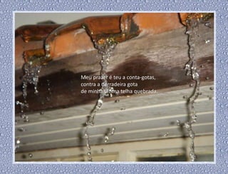 Meu prazer é teu a conta-gotas,
contra a derradeira gota
de minha última telha quebrada.
 
