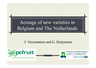 Acreage of new varieties in
Belgium and The Netherlands
J. Vercammen and G. Heijerman
 