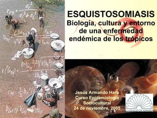 ESQUISTOSOMIASIS Biología, cultura y entorno de una enfermedad endémica de los trópicos Jesús Armando Haro Curso Epidemiología Sociocultural 24 de noviembre, 2005 