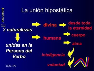La unión hipostática 2 naturalezas divina humana desde toda la eternidad cuerpo alma inteligencia voluntad CEC, 470 unidas en la Persona del Verbo 
