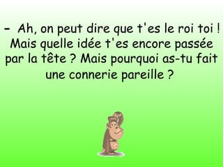 - Ah, on peut dire que t'es le roi toi !
Mais quelle idée t'es encore passée
par la tête ? Mais pourquoi as-tu fait
une connerie pareille ?
 