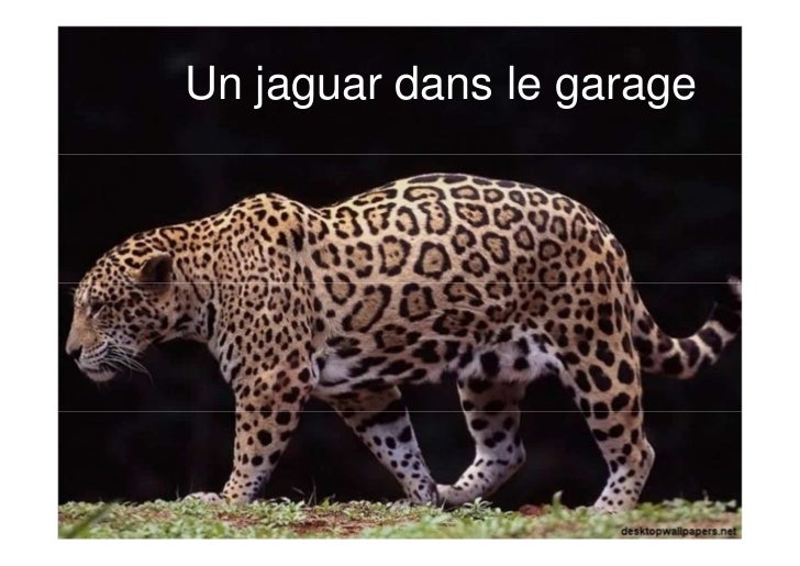 quels sont les 4 animaux necessaires a une femme