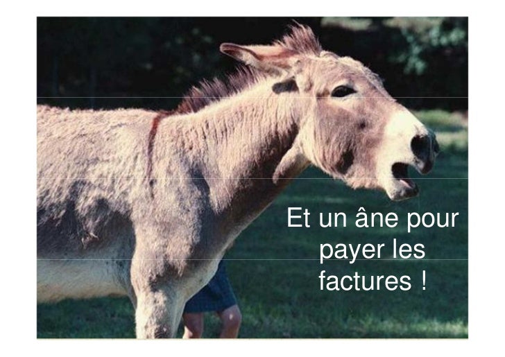 quels sont les 4 animaux necessaires a une femme