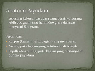 sepasang kelenjar payudara yang beratnya kurang
 lebih 200 gram, saat hamil 600 gram dan saat
 menyusui 800 gram.

Terdiri dari:
 Korpus (badan), yaitu bagian yang membesar.
 Areola, yaitu bagian yang kehitaman di tengah.
 Papilla atau puting, yaitu bagian yang menonjol di
  puncak payudara.
 