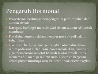  Progesteron, berfungsi mempengaruhi pertumbuhan dan
  ukuran alveoli.
 Estrogen, berfungsi menstimulasi sistem saluran ASI untuk
  membesar
 Prolaktin, berperan dalam membesarnya alveoil dalam
  kehamilan.
 Oksitosin, berfungsi mengencangkan otot halus dalam
  rahim pada saat melahirkan pasca melahirkan, oksitosin
  juga mengencangkan otot halus di sekitar alveoli untuk
  memeras ASI menuju saluran susu. Oksitosin berperan
  dalam proses turunnya susu let-down/ milk ejection reflex.
 