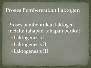 Proses pembentukan laktogen
melalui tahapan-tahapan berikut:
  Laktogenesis I
  Laktogenesis II
  Laktogenesis III
 