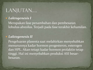  Laktogenesis I
 Merupakan fase penambahan dan pembesaran
 lobulus-alveolus. Terjadi pada fase terakhir kehamilan.

 Laktogenesis II
 Pengeluaran plasenta saat melahirkan menyebabkan
 menurunnya kadar hormon progesteron, esterogen
 dan HPL. Akan tetapi kadar hormon prolaktin tetap
 tinggi. Hal ini menyebabkan produksi ASI besar-
 besaran.
 