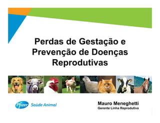 Perdas de Gestação e
Prevenção de Doenças
    Reprodutivas



             Mauro Meneghetti
             Gerente Linha Reprodutiva
                                         1
 