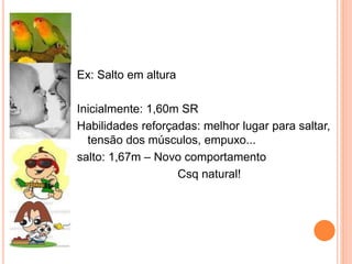 Ex: Salto em altura
Inicialmente: 1,60m SR
Habilidades reforçadas: melhor lugar para saltar,
tensão dos músculos, empuxo...
salto: 1,67m – Novo comportamento
Csq natural!
 