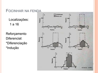 FOCINHAR NA FENDA
Localizações:
1 a 16
Reforçamento
Diferencial:
*Diferenciação
*Indução
 