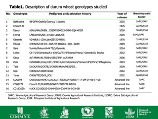 Table1. Description of durum wheat genotypes studied
No.     Genotypes                        Pedigrees and/selection history                                Year of        Breeder/main
                                                                                                        release            tainer
1       Bakkalcha      98-OFN-Gedilfa/Guerou/ 15patho                                                     2005           SARC/OARI

2       Cocorit-71                                          -                                             1976           DZARC/EIAR

3       Denbi          AJAIA/BAUSHEN…CSS98IY00025-0MXI-3QK-4DZR                                           2009           DZARC/EIAR

4       Ejersa         LABUD/NIGRIS-3//Gan-CD98206                                                        2005        SARC/OARI

5       Gerardo        VZ466/61-130xLdsxGII’s’CM9605                                                      1976           DZARC/EIAR

6       Hitosa         CHEN/ALTAR 84...CDS-97-B00265…IQX…6DZR                                             2009           DZARC/EIAR

7       Ilani          Ilumilo/Rahum/A4#72/3/Gerardo                                                      2004           SARC/OARI

8       Leliso         Cit-71/3/Gerardo//61-130/G//”S”/4/Boohai//Hora// Gerardo/3/ Boohai                 2002           SARC/OARI

9       Obsa           ALTAR84//ALTAR84/SERI/3/6* ALTAR84                                                 2006           SARC/OARI

10      Oda            DZ046881/imlo//cit71/3/RCHI/LD357//imlo/4/Yemen/cit’5’/Plc’s’/3/Taganroy           2004           SARC/OARI

11      Tate           DACK/KIWI/OSTE/3/CHEN 84//4/MEXI/5/5…                                              2009           SARC/OARI

12      Ude            CHEN/ALTAR84//JO69                                                                 2002           DZARC/EIAR

13      Yerer          CHEN/TEZ/GVIL//C11                                                                 2002           DZARC/EIAR

14      CDSS94         CANGRUS/POHO-1//SUGU-14CDSS94Y00597T- A-1M-0Y-0B-1Y-0B                        Advanced line            SARC

15      CD86772        Cocorit-71/DUKEM/DON87 CD86772-DZ491                                          Advanced line            SARC

16      CD1B2620       KUCK CD1B2620-G-8M-030Y-030M-2Y-0-2Y-0B                                       Advanced line            SARC


    SARC: Sinana Agricultural Research Center, OARI: Oromia Agricultural Research Institute, DZARC: Debre Zeit Agricultural
    Research Center, EIAR: Ethiopian Institute of Agricultural Research
 