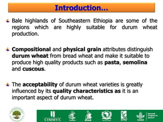 Introduction…
Bale highlands of Southeastern Ethiopia are some of the
regions which are highly suitable for durum wheat
production.

Compositional and physical grain attributes distinguish
durum wheat from bread wheat and make it suitable to
produce high quality products such as pasta, semolina
and cuscous.

The acceptability of durum wheat varieties is greatly
influenced by its quality characteristics as it is an
important aspect of durum wheat.
 