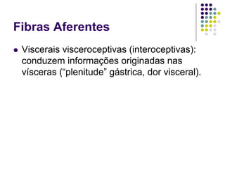 Fibras Aferentes
Viscerais visceroceptivas (interoceptivas):
conduzem informações originadas nas
vísceras (“plenitude” gástrica, dor visceral).

 