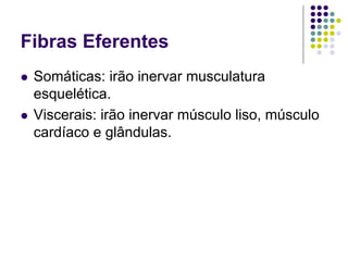 Fibras Eferentes
Somáticas: irão inervar musculatura
esquelética.
Viscerais: irão inervar músculo liso, músculo
cardíaco e glândulas.

 