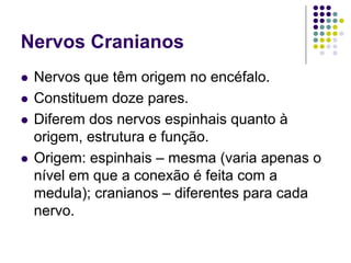 Nervos Cranianos
Nervos que têm origem no encéfalo.
Constituem doze pares.
Diferem dos nervos espinhais quanto à
origem, estrutura e função.
Origem: espinhais – mesma (varia apenas o
nível em que a conexão é feita com a
medula); cranianos – diferentes para cada
nervo.

 
