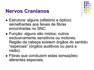 Nervos Cranianos
Estrutura: alguns (olfatório e óptico)
semelhantes aos feixes de fibras
encontradas no SNC.
Função: alguns são mistos; outros
exclusivamente sensitivos ou motores.
Região da cabeça existem órgãos do sentido
“especiais” (órgãos auditivos ou para a
visão).
Fibras que conduzem estas sensações:
aferentes especiais.

 