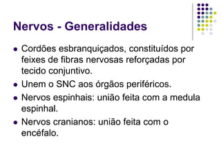 Nervos - Generalidades
Cordões esbranquiçados, constituídos por
feixes de fibras nervosas reforçadas por
tecido conjuntivo.
Unem o SNC aos órgãos periféricos.
Nervos espinhais: união feita com a medula
espinhal.
Nervos cranianos: união feita com o
encéfalo.

 