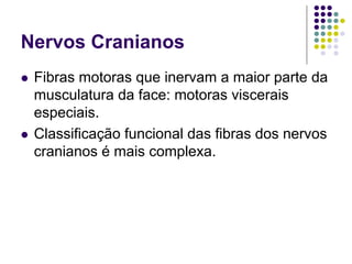 Nervos Cranianos
Fibras motoras que inervam a maior parte da
musculatura da face: motoras viscerais
especiais.
Classificação funcional das fibras dos nervos
cranianos é mais complexa.

 
