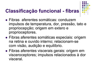 Classificação funcional - fibras
Fibras aferentes somáticas: conduzem
impulsos de temperatura, dor, pressão, tato e
propriocepção; origem em extero e
proprioceptores.
Fibras aferentes somáticas especiais: origem
na retina e ouvido interno; relacionam-se
com visão, audição e equilíbrio.
Fibras aferentes viscerais gerais: origem em
visceroceptores; impulsos relacionados à dor
visceral.

 