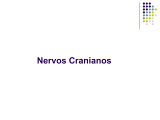 Nervos Cranianos

 