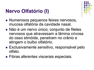 Nervo Olfatório (I)
Numerosos pequenos feixes nervosos,
mucosa olfatória da cavidade nasal.
Não é um nervo único; conjunto de filetes
nervosos que atravessam a lâmina crivosa
do osso etmóide, penetram no crânio e
atingem o bulbo olfatório.
Exclusivamente sensitivo, responsável pelo
olfato.
Fibras aferentes viscerais especiais.

 