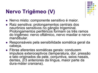 Nervo Trigêmeo (V)
Nervo misto: componente sensitivo é maior.
Raiz sensitiva: prolongamentos centrais dos
neurônios sensitivos no gânglio trigeminal.
Prolongamentos periféricos formam os três ramos
do trigêmeo: nervo oftálmico, nervo maxilar e nervo
mandibular.
Responsáveis pela sensibilidade somática geral da
cabeça.
Fibras aferentes somáticas gerais: conduzem
impulsos exteroceptivos (temperatura, dor, pressão
e tato originados da pele, conjuntiva, seios nasais,
dentes, 2/3 anteriores da língua, maior parte da
dura-máter craniana).

 