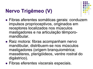 Nervo Trigêmeo (V)
Fibras aferentes somáticas gerais: conduzem
impulsos proprioceptivos, originados em
receptores localizados nos músculos
mastigadores e na articulação têmporomandibular.
Raiz motora: fibras acompanham nervo
mandibular, distribuem-se nos músculos
mastigadores (origem branquiomérica;
masséteres, pterigóideos, ventre rostral do
digástrico).
Fibras eferentes viscerais especiais.

 