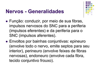 Nervos - Generalidades
Função: conduzir, por meio de sua fibras,
impulsos nervosos do SNC para a periferia
(impulsos eferentes) e da periferia para o
SNC (impulsos aferentes).
Envoltos por bainhas conjuntivas: epineuro
(envolve todo o nervo, emite septos para seu
interior), perineuro (envolve feixes de fibras
nervosas), endoneuro (envolve cada fibra,
tecido conjuntivo frouxo).

 