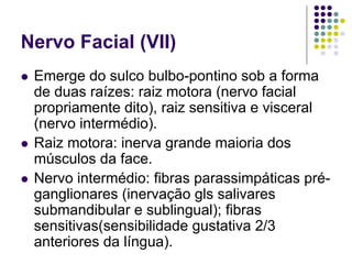 Nervo Facial (VII)
Emerge do sulco bulbo-pontino sob a forma
de duas raízes: raiz motora (nervo facial
propriamente dito), raiz sensitiva e visceral
(nervo intermédio).
Raiz motora: inerva grande maioria dos
músculos da face.
Nervo intermédio: fibras parassimpáticas préganglionares (inervação gls salivares
submandibular e sublingual); fibras
sensitivas(sensibilidade gustativa 2/3
anteriores da língua).

 