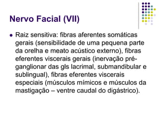 Nervo Facial (VII)
Raiz sensitiva: fibras aferentes somáticas
gerais (sensibilidade de uma pequena parte
da orelha e meato acústico externo), fibras
eferentes viscerais gerais (inervação préganglionar das gls lacrimal, submandibular e
sublingual), fibras eferentes viscerais
especiais (músculos mímicos e músculos da
mastigação – ventre caudal do digástrico).

 