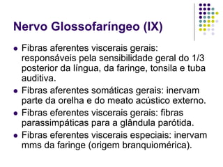 Nervo Glossofaríngeo (IX)
Fibras aferentes viscerais gerais:
responsáveis pela sensibilidade geral do 1/3
posterior da língua, da faringe, tonsila e tuba
auditiva.
Fibras aferentes somáticas gerais: inervam
parte da orelha e do meato acústico externo.
Fibras eferentes viscerais gerais: fibras
parassimpáticas para a glândula parótida.
Fibras eferentes viscerais especiais: inervam
mms da faringe (origem branquiomérica).

 