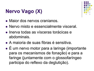 Nervo Vago (X)
Maior dos nervos cranianos.
Nervo misto e essencialmente visceral.
Inerva todas as vísceras torácicas e
abdominais.
A maioria de suas fibras é sensitiva.
É um nervo motor para a laringe (importante
para os mecanismos de fonação) e para a
faringe (juntamente com o glossofaríngeo
participa do reflexo da deglutição).

 
