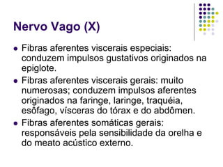 Nervo Vago (X)
Fibras aferentes viscerais especiais:
conduzem impulsos gustativos originados na
epiglote.
Fibras aferentes viscerais gerais: muito
numerosas; conduzem impulsos aferentes
originados na faringe, laringe, traquéia,
esôfago, vísceras do tórax e do abdômen.
Fibras aferentes somáticas gerais:
responsáveis pela sensibilidade da orelha e
do meato acústico externo.

 