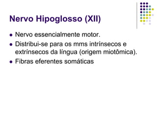 Nervo Hipoglosso (XII)
Nervo essencialmente motor.
Distribui-se para os mms intrínsecos e
extrínsecos da língua (origem miotômica).
Fibras eferentes somáticas

 