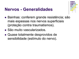 Nervos - Generalidades
Bainhas: conferem grande resistência; são
mais espessas nos nervos superficiais
(proteção contra traumatismos).
São muito vascularizados.
Quase totalmente desprovidos de
sensibilidade (estímulo do nervo).

 