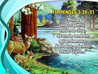 08 ok o milênio de paz