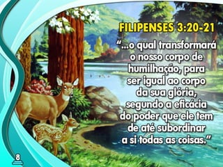 08 ok o milênio de paz