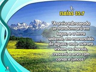 08 ok o milênio de paz