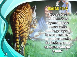 08 ok o milênio de paz