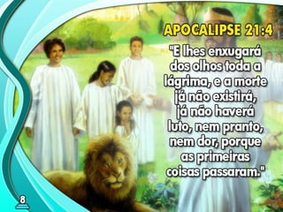 08 ok o milênio de paz