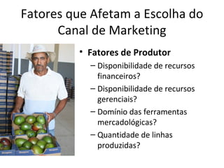 Fatores que Afetam a Escolha do
      Canal de Marketing
         • Fatores de Produtor
           – Disponibilidade de recursos
             financeiros?
           – Disponibilidade de recursos
             gerenciais?
           – Domínio das ferramentas
             mercadológicas?
           – Quantidade de linhas
             produzidas?
 
