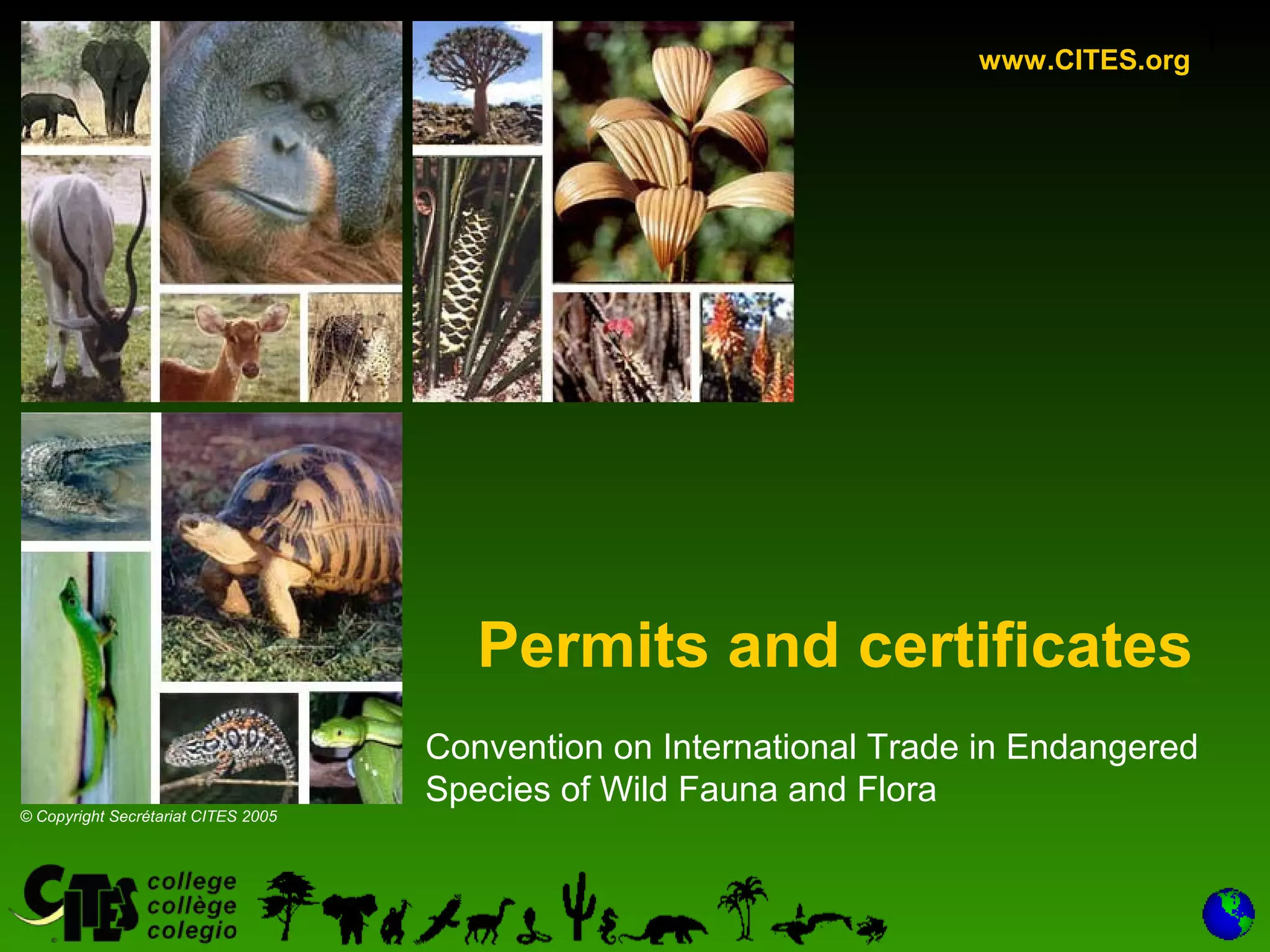 1
Permits and certificates
Convention on International Trade in Endangered
Species of Wild Fauna and Flora
www.CITES.org
© Copyright Secrétariat CITES 2005
 