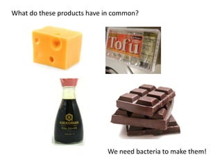 What do these products have in common?
We need bacteria to make them!
 
