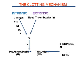 THE CLOTTING MECHANISM
INTRINSIC EXTRINSC
PROTHROMBIN THROMBIN
FIBRINOGE
N
FIBRIN(II) (III)
(I)
V
X
Tisue ThromboplastinCollagen
VII
XII
XI
IX
VIII
 