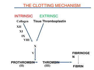 THE CLOTTING MECHANISM
INTRINSIC EXTRINSC
PROTHROMBIN THROMBIN
FIBRINOGE
N
FIBRIN(II) (III)
(I)
V
X
Tisue ThromboplastinCollagen
VII
XII
XI
IX
VIII
 