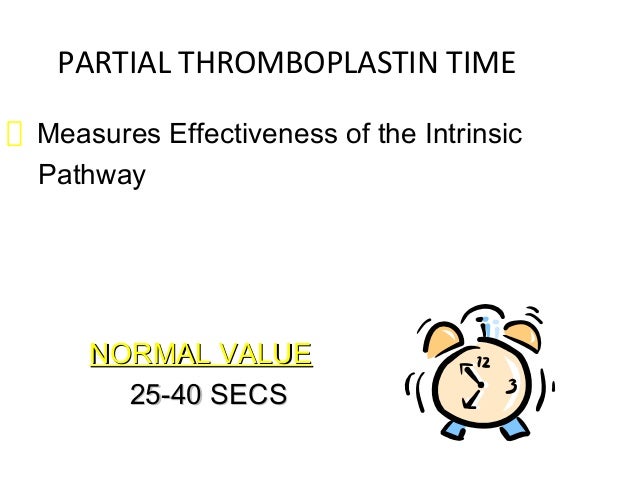 prothrombin time