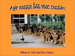 Même si c’est parfois risqué…
 