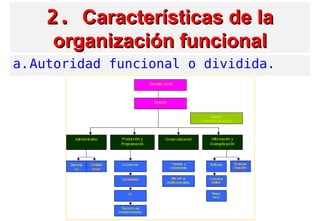 2.2. Características de laCaracterísticas de la
organización funcionalorganización funcional
a.Autoridad funcional o dividida.
 