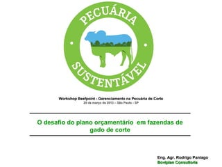 Workshop Beefpoint - Gerenciamento na Pecuária de Corte
                   20 de março de 2013 – São Paulo - SP




O desafio do plano orçamentário em fazendas de
                 gado de corte



                                                          Eng. Agr. Rodrigo Paniago
                                                          Boviplan Consultoria
 
