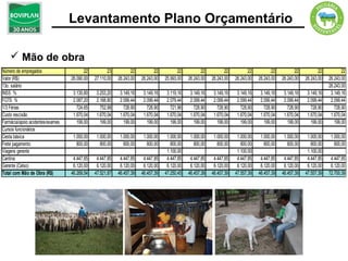 Levantamento Plano Orçamentário

     Mão de obra
Número de empregados                     22          23          22          22          22          22          22          22          22          22          22          22
Valor (R$)                        26.090,00   27.110,00   26.243,00   26.243,00   25.993,00   26.243,00   26.243,00   26.243,00   26.243,00   26.243,00   26.243,00   26.243,00
13o. salário                                                                                                                                                          26.243,00
INSS %                             3.130,80    3.253,20    3.149,16    3.149,16    3.119,16    3.149,16    3.149,16    3.149,16    3.149,16    3.149,16    3.149,16    3.149,16
FGTS %                             2.087,20    2.168,80    2.099,44    2.099,44    2.079,44    2.099,44    2.099,44    2.099,44    2.099,44    2.099,44    2.099,44    2.099,44
1/3 Férias                           724,65      752,98      728,90      728,90      721,96      728,90      728,90      728,90      728,90      728,90      728,90      728,90
Custo rescisão                     1.670,04    1.670,04    1.670,04    1.670,04    1.670,04    1.670,04    1.670,04    1.670,04    1.670,04    1.670,04    1.670,04    1.670,04
Farmácia/apoio acidentes/exames      199,00      199,00      199,00      199,00      199,00      199,00      199,00      199,00      199,00      199,00      199,00      199,00
Cursos funcionários
Cesta básica                       1.000,00    1.000,00    1.000,00    1.000,00    1.000,00    1.000,00    1.000,00    1.000,00    1.000,00    1.000,00    1.000,00    1.000,00
Frete pagamento                      800,00      800,00      800,00      800,00      800,00      800,00      800,00      800,00      800,00      800,00      800,00      800,00
Viagens gerente                                                                    1.100,00                            1.100,00                            1.100,00
Cantina                            4.447,85    4.447,85    4.447,85    4.447,85    4.447,85    4.447,85    4.447,85    4.447,85    4.447,85    4.447,85    4.447,85    4.447,85
Gerente (Celso)                    6.120,00    6.120,00    6.120,00    6.120,00    6.120,00    6.120,00    6.120,00    6.120,00    6.120,00    6.120,00    6.120,00    6.120,00
Total com Mão de Obra (R$)        46.269,54   47.521,87   46.457,39   46.457,39   47.250,45   46.457,39   46.457,39   47.557,39   46.457,39   46.457,39   47.557,39   72.700,39
 